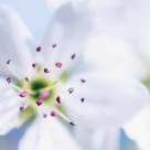 Spring Has Sprung